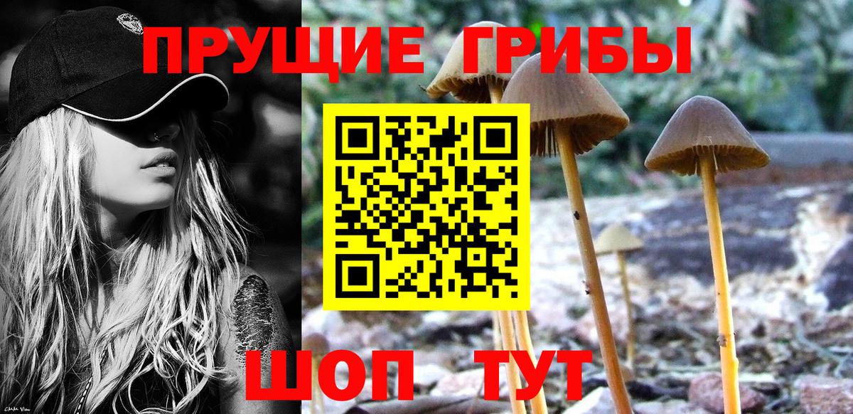 Галлюциногенные грибы мухоморы Тавда